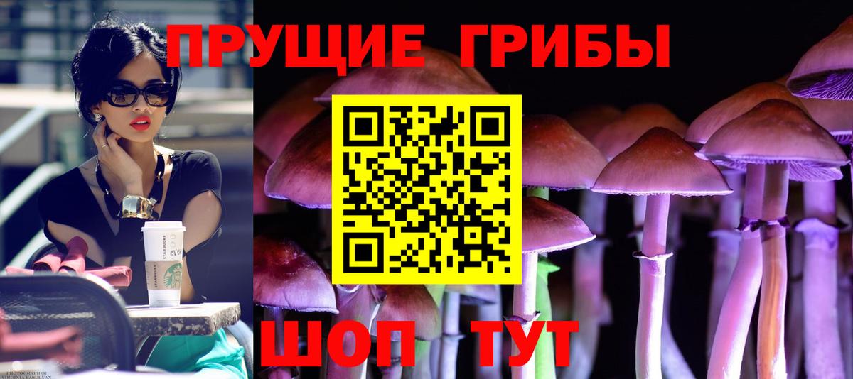 Галлюциногенные грибы мицелий Бугуруслан