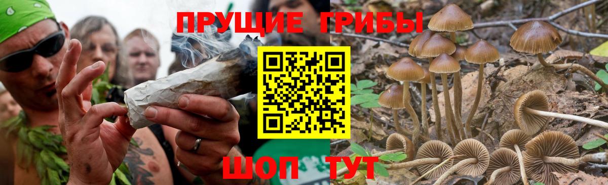 Псилоцибиновые грибы Magic Shrooms  Псилоцибиновые грибы мицелий  где можно купить   Бугуруслан  Вход с VPN 